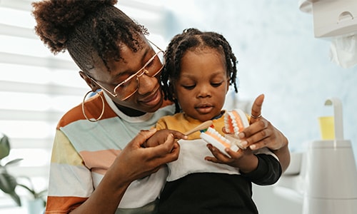 Parent and child brushing a model of teeth